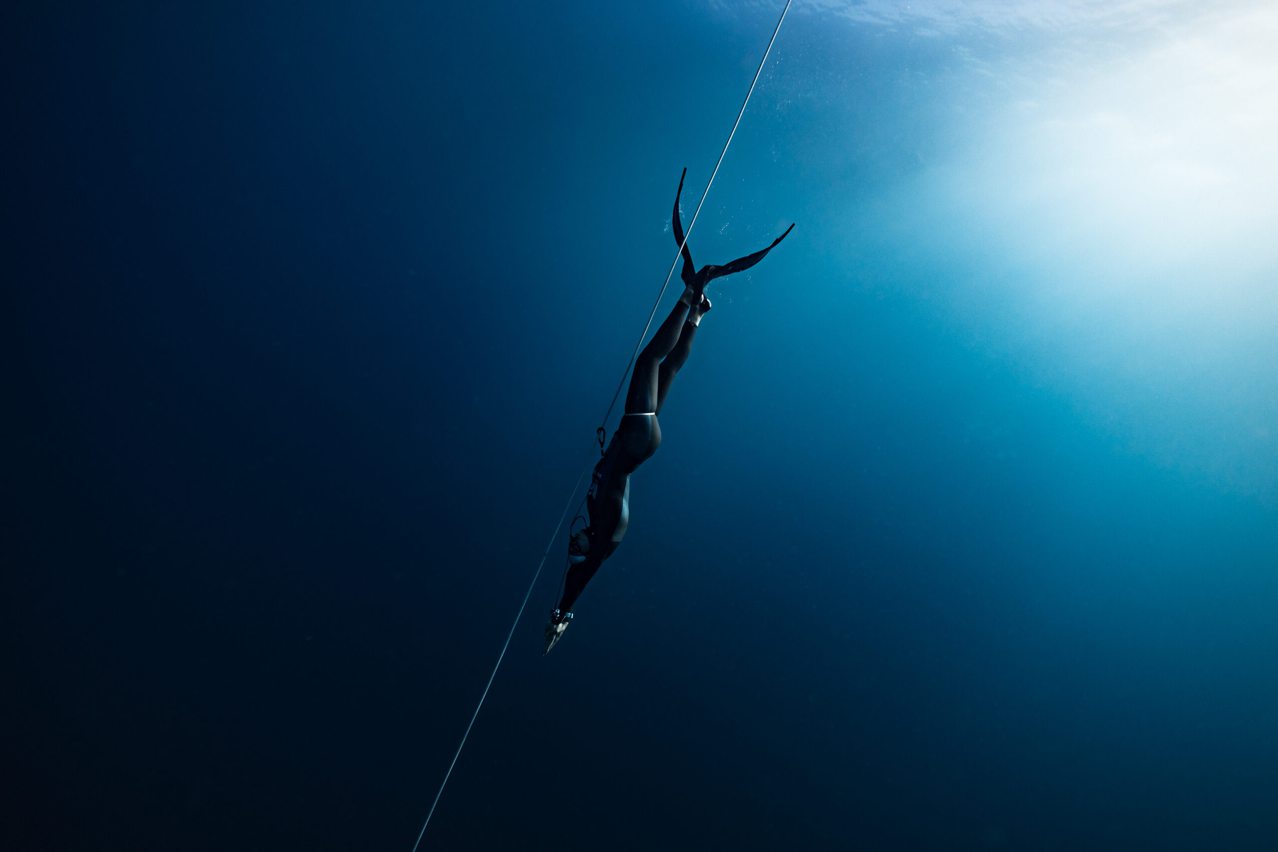 Maxime Souverain photographe vidéaste sous-marin